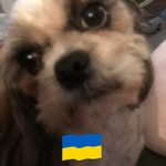 Sue Tobin - @tobin6613 - Instagram