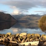 Sue Tobin - @suetobin100 - Instagram