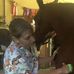 Sue Tobin Equine Massage - Facebook