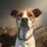 Poppy Sue Tompkins - @poppysue28 - Instagram