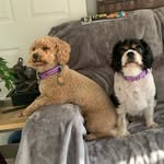 Sue Tompkins - @sue.tompkins1 - Instagram