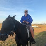 Sue Dryland - @suetoppo136 - Instagram