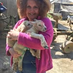 Sue Topp - @sue_topp - Instagram