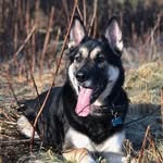 Sue Tracey - @suetracey34 - Instagram