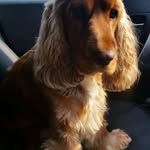 Sue Tracey - @sue.tracey.399 - Instagram