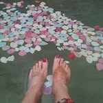 Sue Tracey - @willowlea57 - Instagram