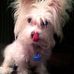 Susan Trudeau - Facebook
