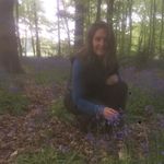 Sue Tyler - @suetylerpoplars - Instagram