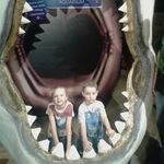 Sue Tyler - @sue.tyler.5249 - Instagram
