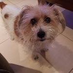 Sue Tyler - @tyler.sue.a - Instagram
