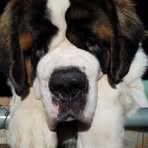 Sue Tyner - Facebook