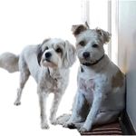 Sue Upton - @sue.upton.161 - Instagram
