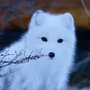 Valencia_Sue - @valencia_sue - TikTok