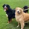 Sue VanEss - @sue.vaness - TikTok
