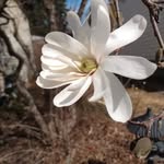 Sue Armstrong Varner - @sue.varner.3 - Instagram