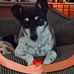 Sue Varner - Facebook