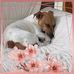Sue Varney - Facebook