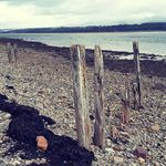 Sue Vernon - @suevernon44 - Instagram