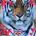 Sue Vernon - Facebook