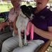 Sue Voss - Facebook