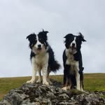 Sue Wade - @susanannwade - Instagram
