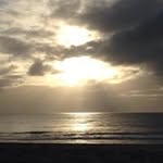 Sue Wade - @sue_w_2006 - Instagram