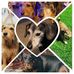 Sue Wade - Facebook