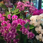 Sue Wade - @suewade1 - Instagram