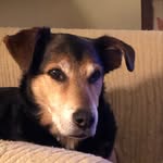 Sue Wade - @sue.wade.77 - Instagram