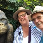 Sue Wade - @sue.wade.756 - Instagram