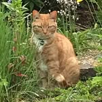 Sue Wainwright - @suziewainwright_1961 - Instagram