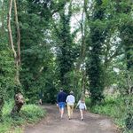 Sue Wainwright - @sue.wainwright2 - Instagram