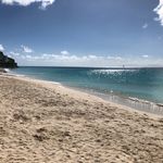 Sue Waite - @sue_waite61 - Instagram