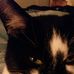 Sue Waldron - Facebook
