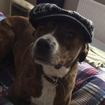 Sue Wallis - @suewallis4 - Instagram