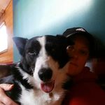 Sue Wallis - @sue.wallis.33 - Instagram