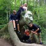 Sue Wallis - @sue.wallis.35 - Instagram