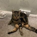 Sue Wallis - @sue_wallis - Instagram