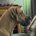 Sue Wallis-Voce - @charley262 - Instagram