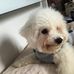 Sue Warwick - Facebook