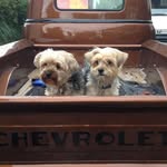 Sue Warwick - @warwick.sue - Instagram
