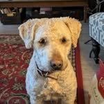 Sue Warwick - @suwick5 - Instagram