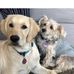 Sue Warwick Matol - Facebook