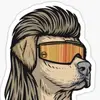 suedewatson - @suedewatson - TikTok