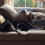 Sue Watts - @suewatts341 - Instagram