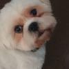 Sue Watts - @sue.watts71 - TikTok