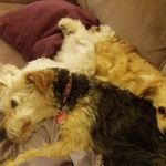 Sue Watts - @sue.watts.902 - Instagram
