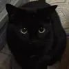 Sue Way - @sue.way0 - TikTok