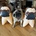 Sue Way - Facebook