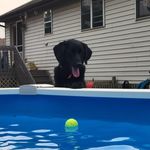Sue Way - @sueway58 - Instagram